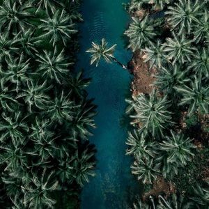 Meet your Posher, Merissa